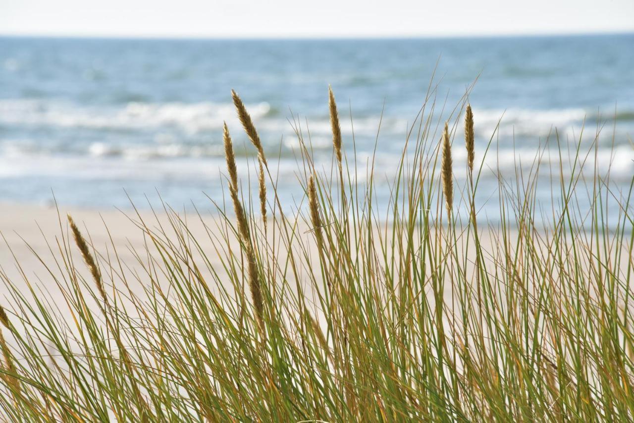 D&A Baltic Beach Villa Jurmalciems Exteriör bild